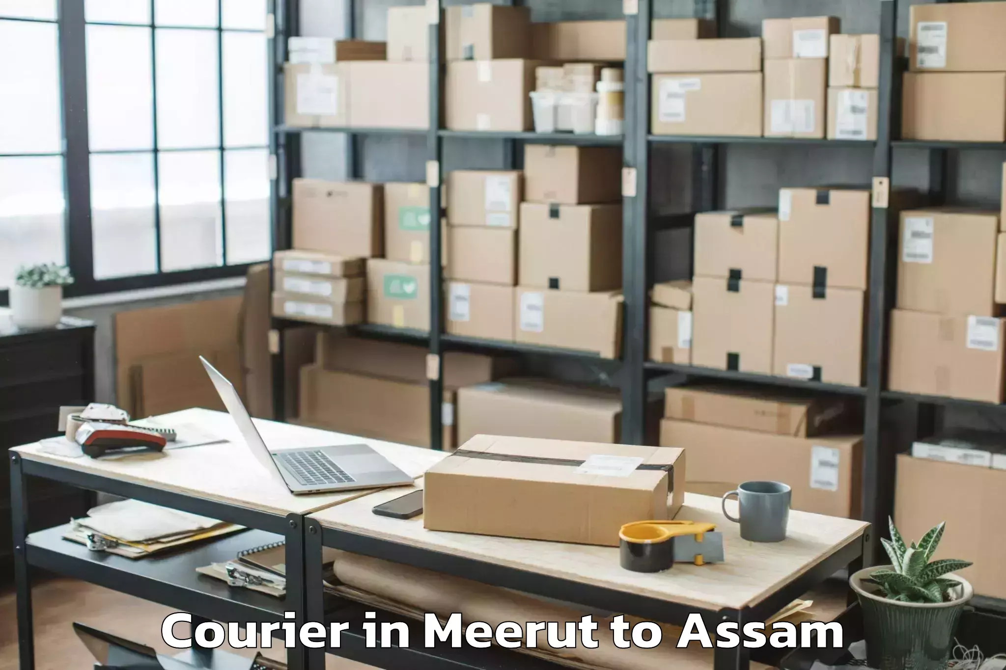 Top Meerut to Nalbari Courier Available